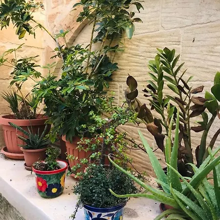 250 Yo Tal-Bambinu Boutique Farmhouse Xagħra Extérieur photo